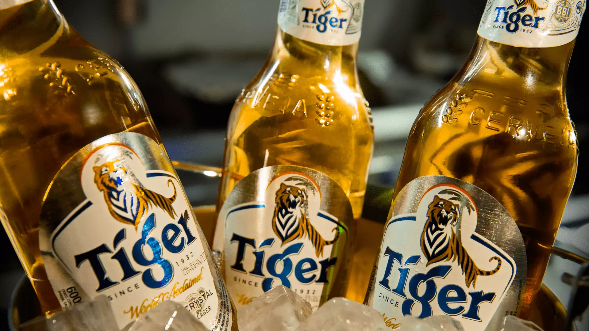 3 garrafas de Tiger em um recipiente com gelo